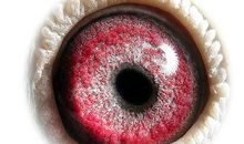 洛夫：灰烬之外