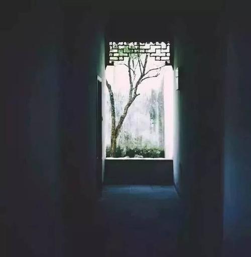 有用而不是丰富