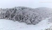 关于雪景的好词好句