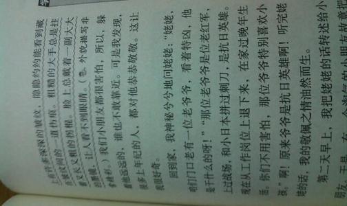 字符描述片段300个单词