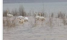 忍俊不禁造句示范