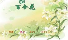 赞美百合花的语句