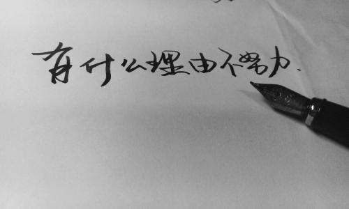 关于求职的励志声明