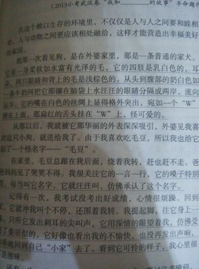 描述植物的段落