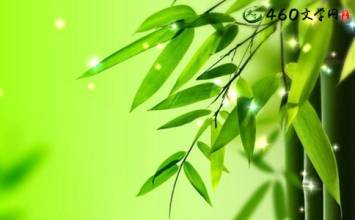 很好的段落描述了植物