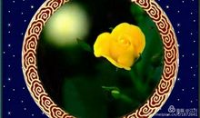 人最大的成功就是健康的活着