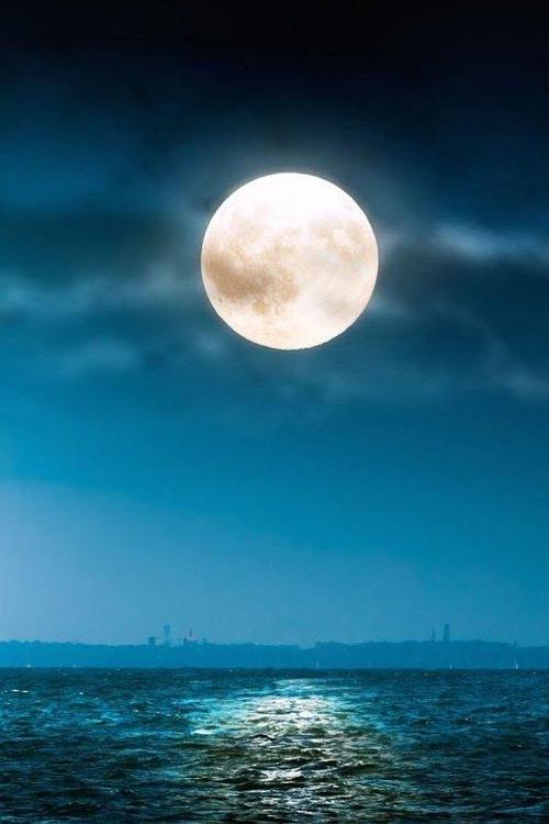 关于黑夜的美丽句子