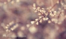 岁月，经得起多少等待