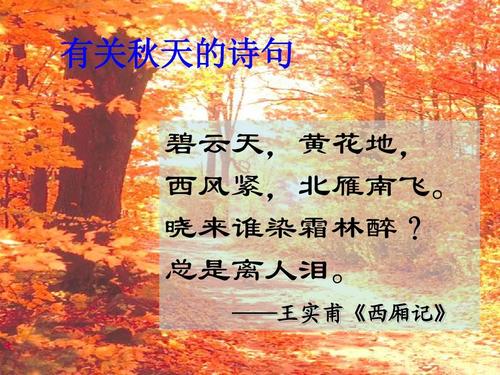 秋天的诗