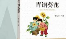 读青铜葵花有感600字