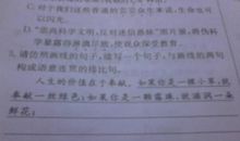 排比句句子