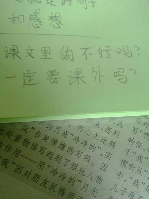 关于老师的精彩文章