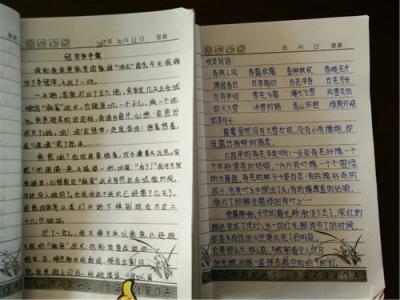 教育书籍读书笔记