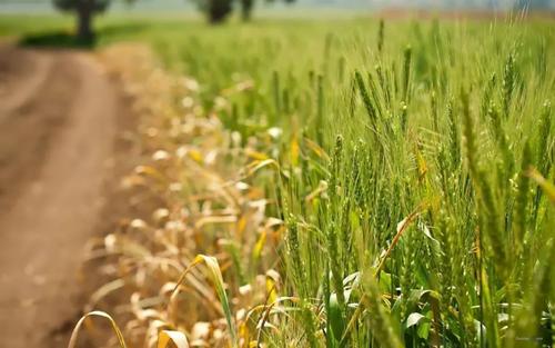 懂得称赞别人也是很棒的才能