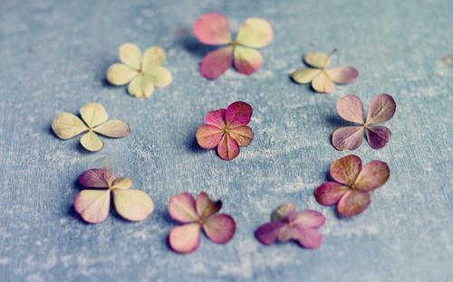 一个比你成功的人永远不会告诉你的秘密