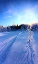 经典语录：与心灵沟通的桥梁是理解，而连结灵魂的方式是信任