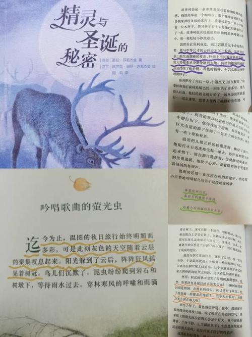 描述天气变化的句子