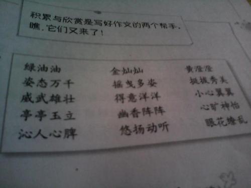 关于柳树的好词和句子