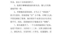 描写人物外貌的句子100字