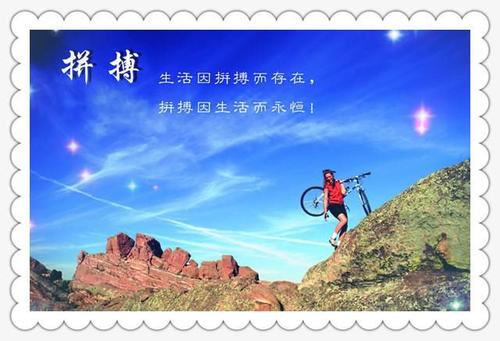 你觉得你努力工作吗?