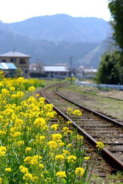 经典话语：不要不喜欢颠簸，世界是曲折的