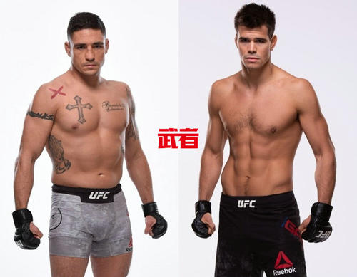 高尔·史密斯行情