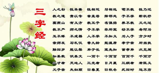 老师的阅读经验800字