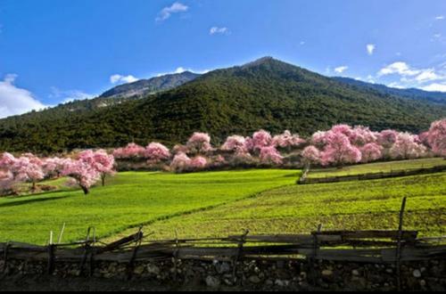 Bu步之:回忆青春