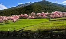 晁补之：忆少年·别历下