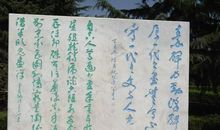 赞美石头的句子