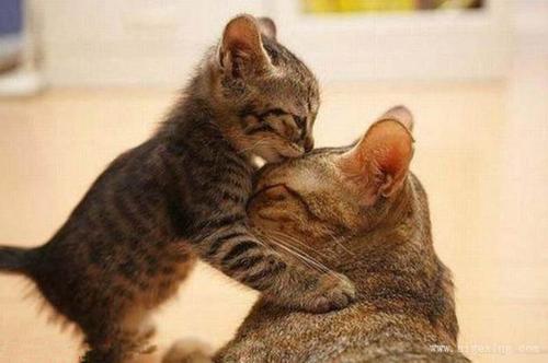 名人用来形容风景的优美句子