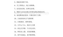 关于佛的歇后语