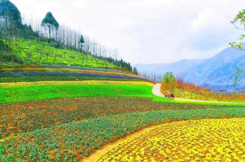 躺下就可以捡到金子