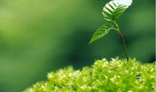 改变人生的20件小事