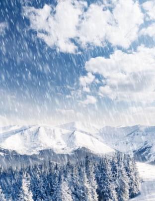 关于冬天的美丽话