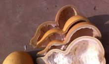 林清玄：葫芦瓢子