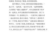 初中作文：总有一种美值得感动