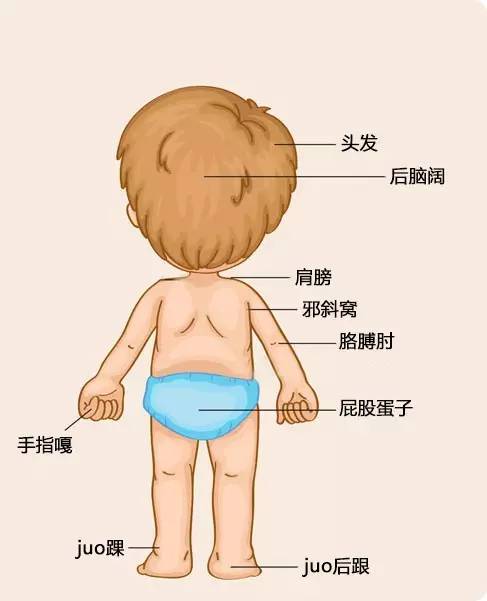 关于和尚扮演秃头的寓言