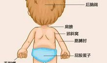 有关拿着和尚当秃子打的歇后语