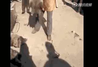 每天下班前阅读它，直到您记住...