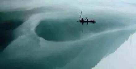 关于白尾鹤的寓言