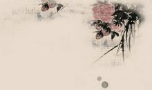 彭元逊：疏影·寻梅不见