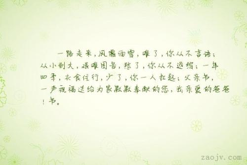 关于父亲的漂亮句子