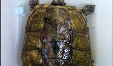 用满载而归造句