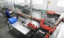 海子：吊半坡并给擅入都市的农民