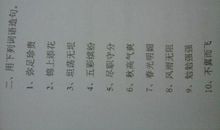 用风雨无阻造句