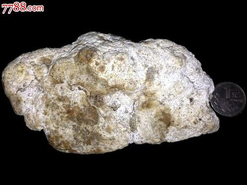 王义孙:天祥·安伯格里斯