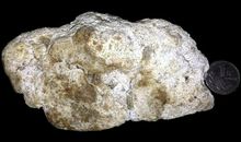 王沂孙：天香·龙涎香