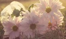 写给渐渐老去的自己