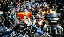 用视死如归造句